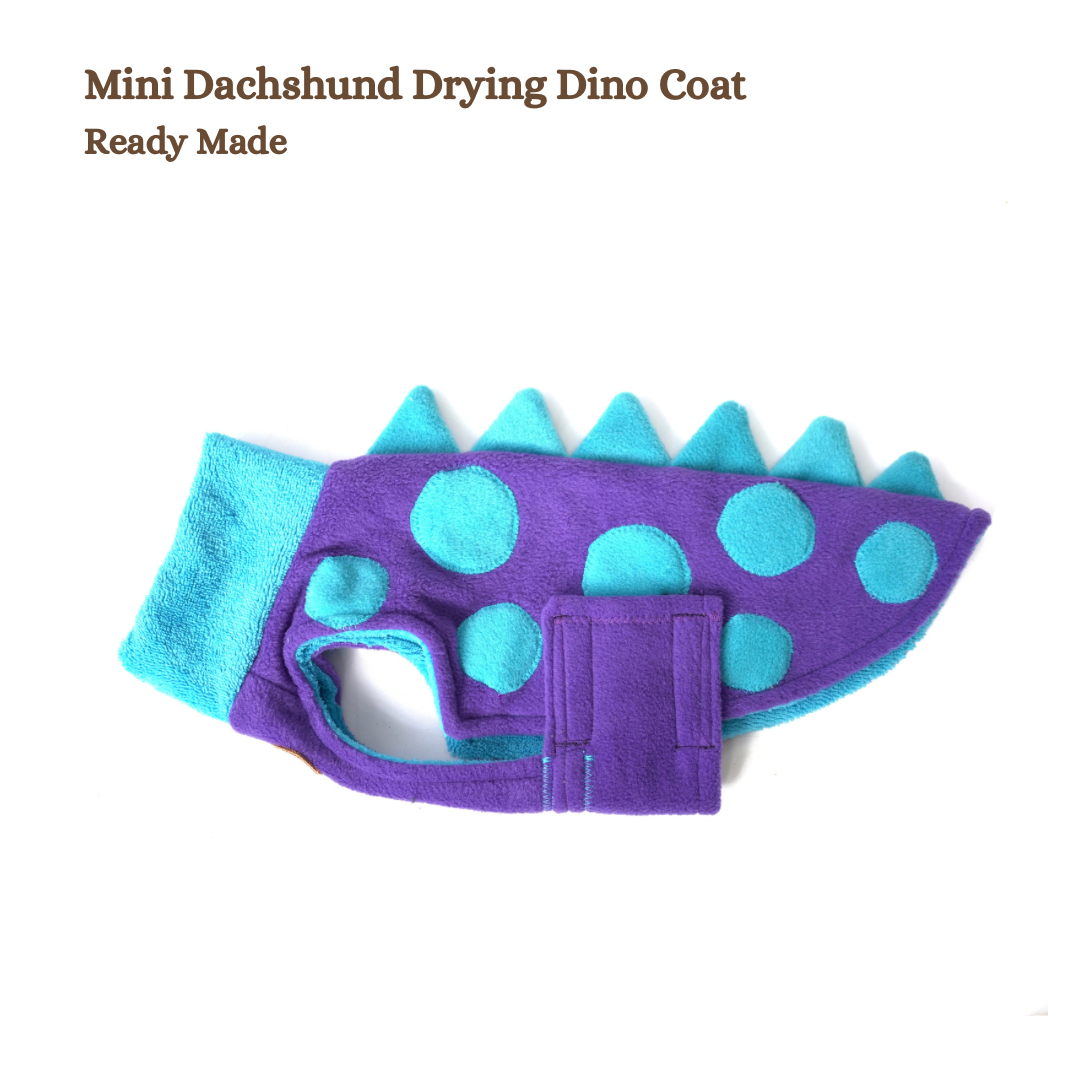 Mini Dachshund Drying Coat