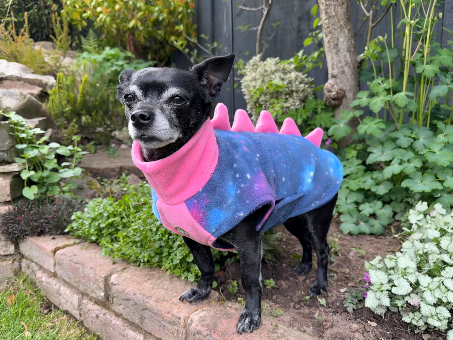 The Luna Drying Coat