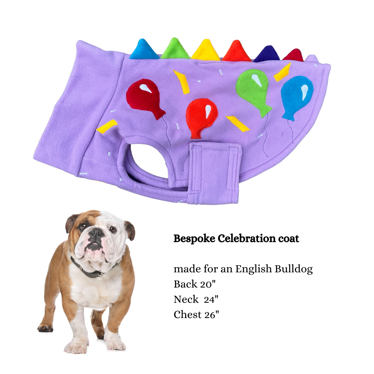 Bespoke Celebration coat made for English Bulldog