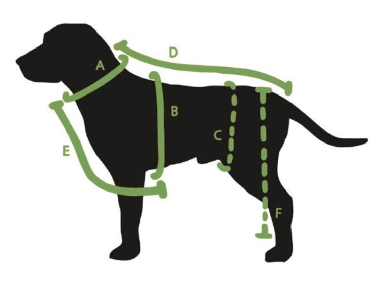 Chihuahua and small breed Dino Coat