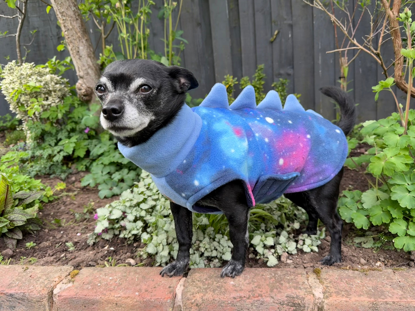 The Luna Drying Coat