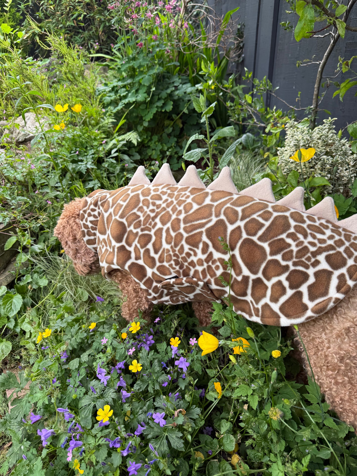 Giraffe print fleece Dino Coat
