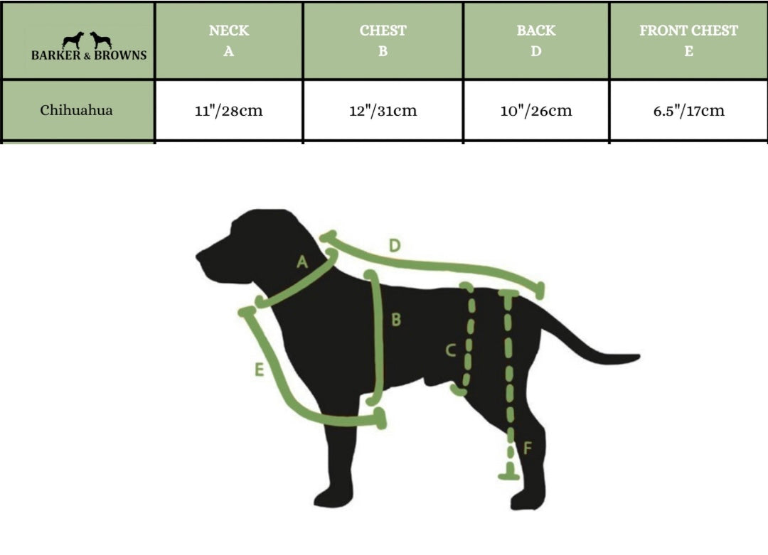 Chihuahua Limited Edition Sparkly Dragon Coat with Wings & detachable tail (ONLY 1 AVAILABLE)