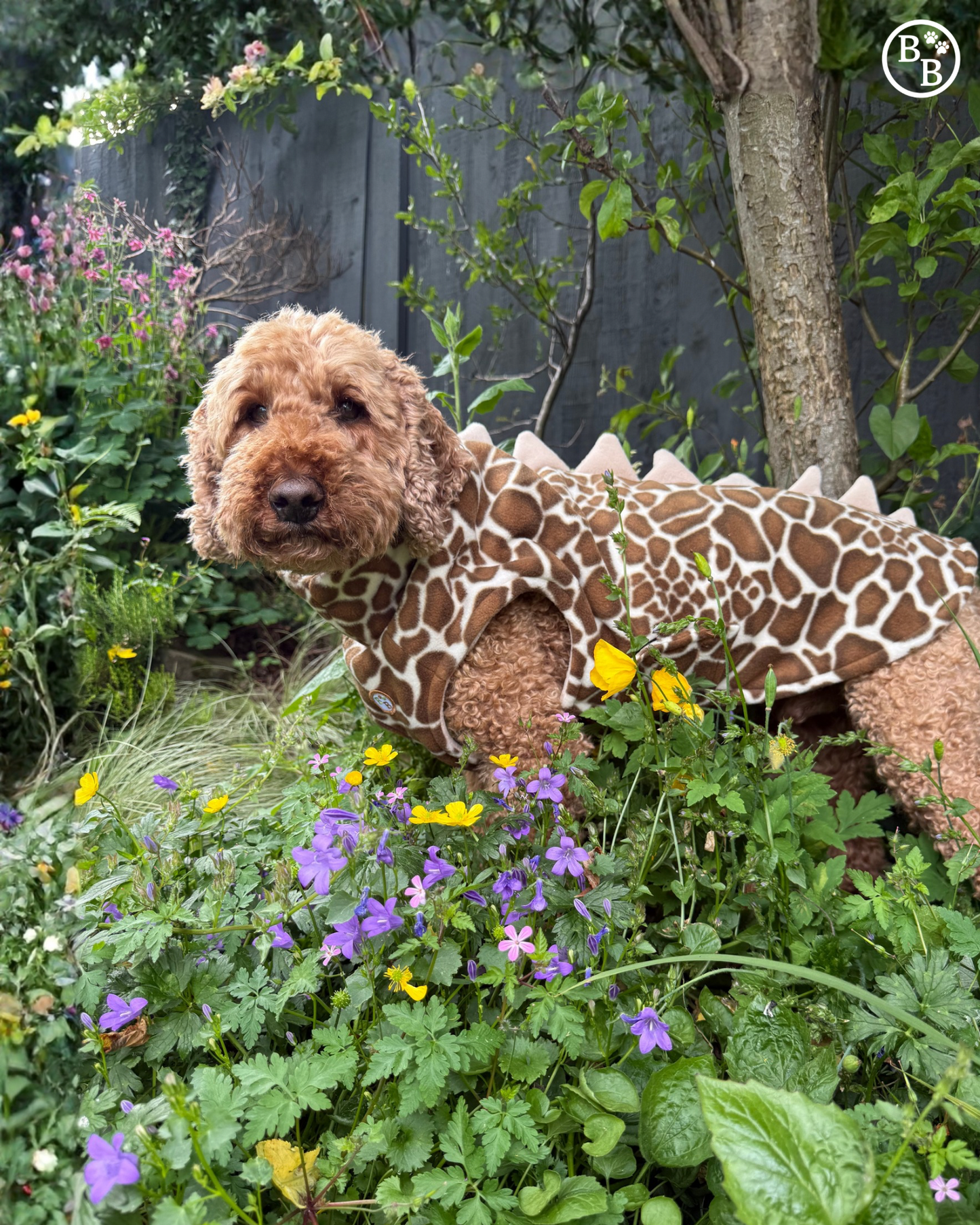 S/M Giraffe pattern Dino with Beige spikes(only one ready-made)