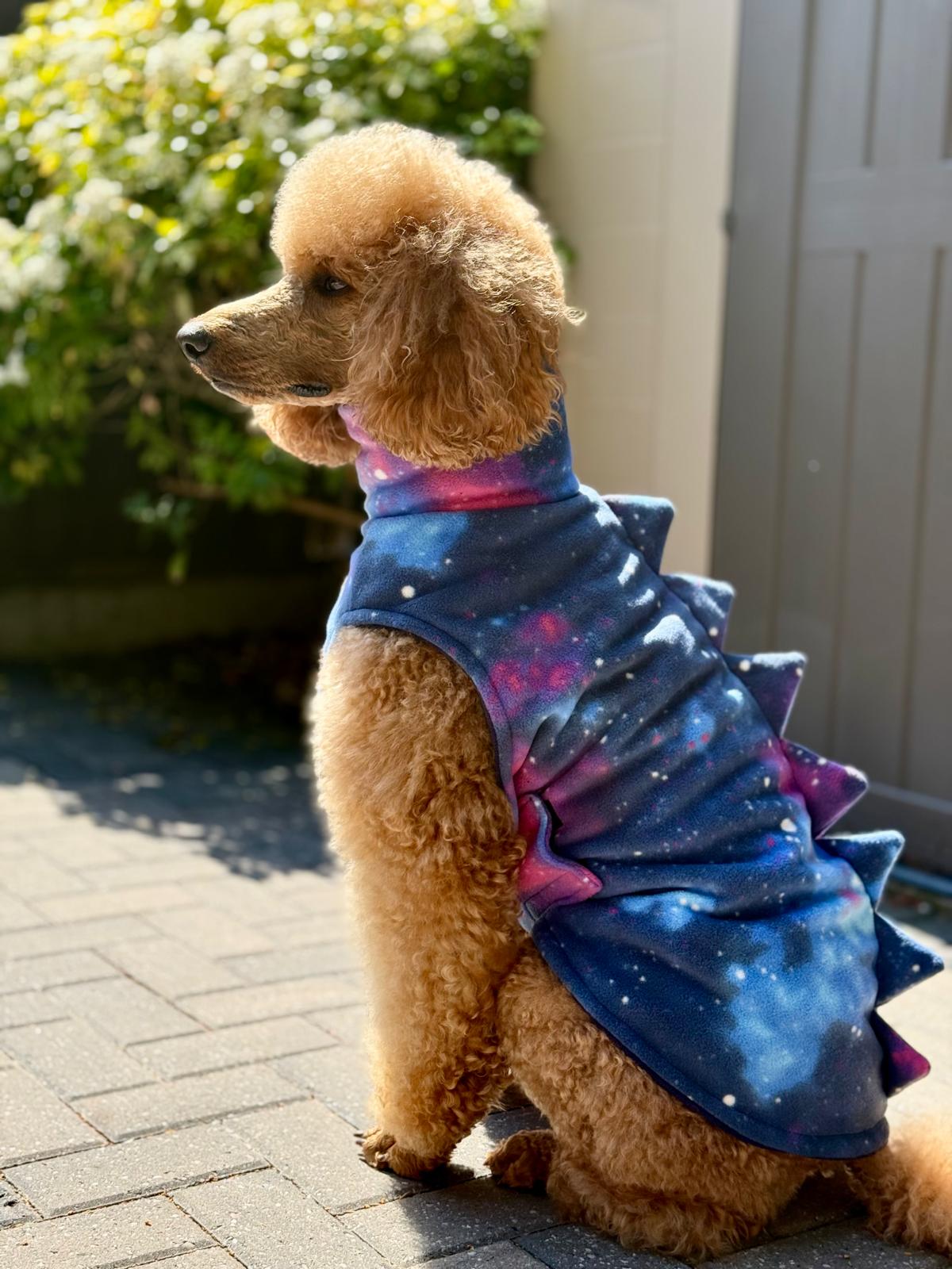 The Luna Drying Coat