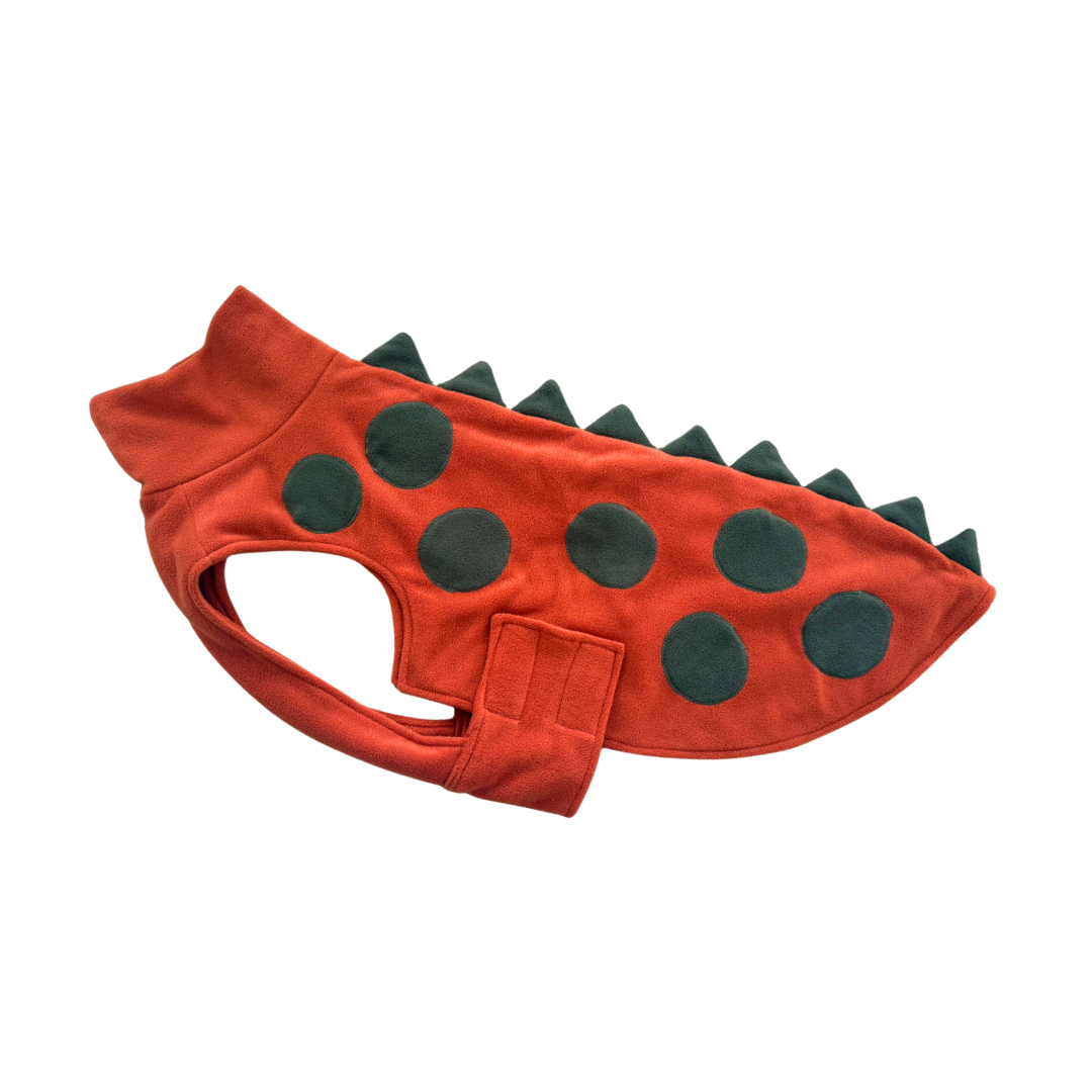 Large Dino coats (various colours)