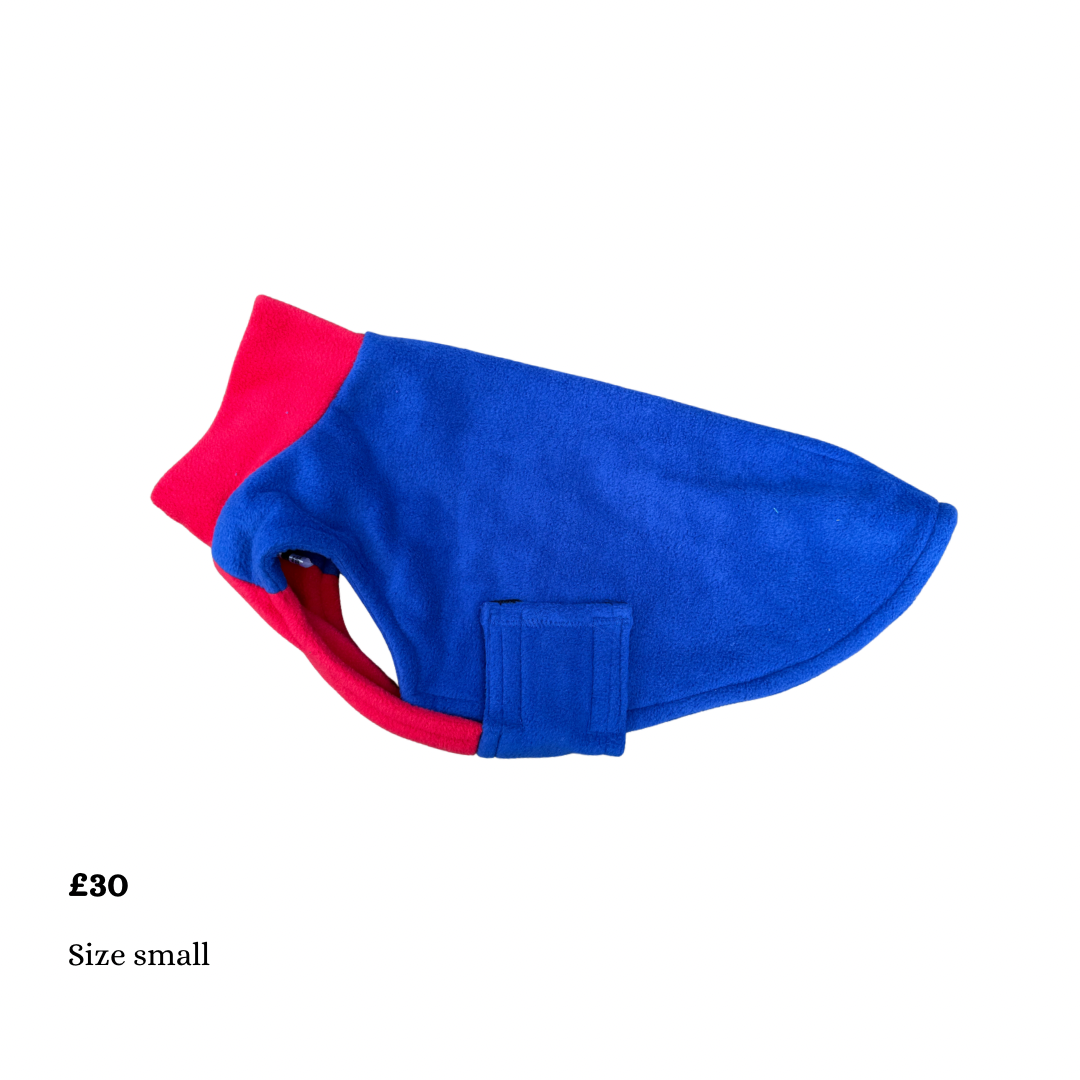 Small Dino coats (various colours)