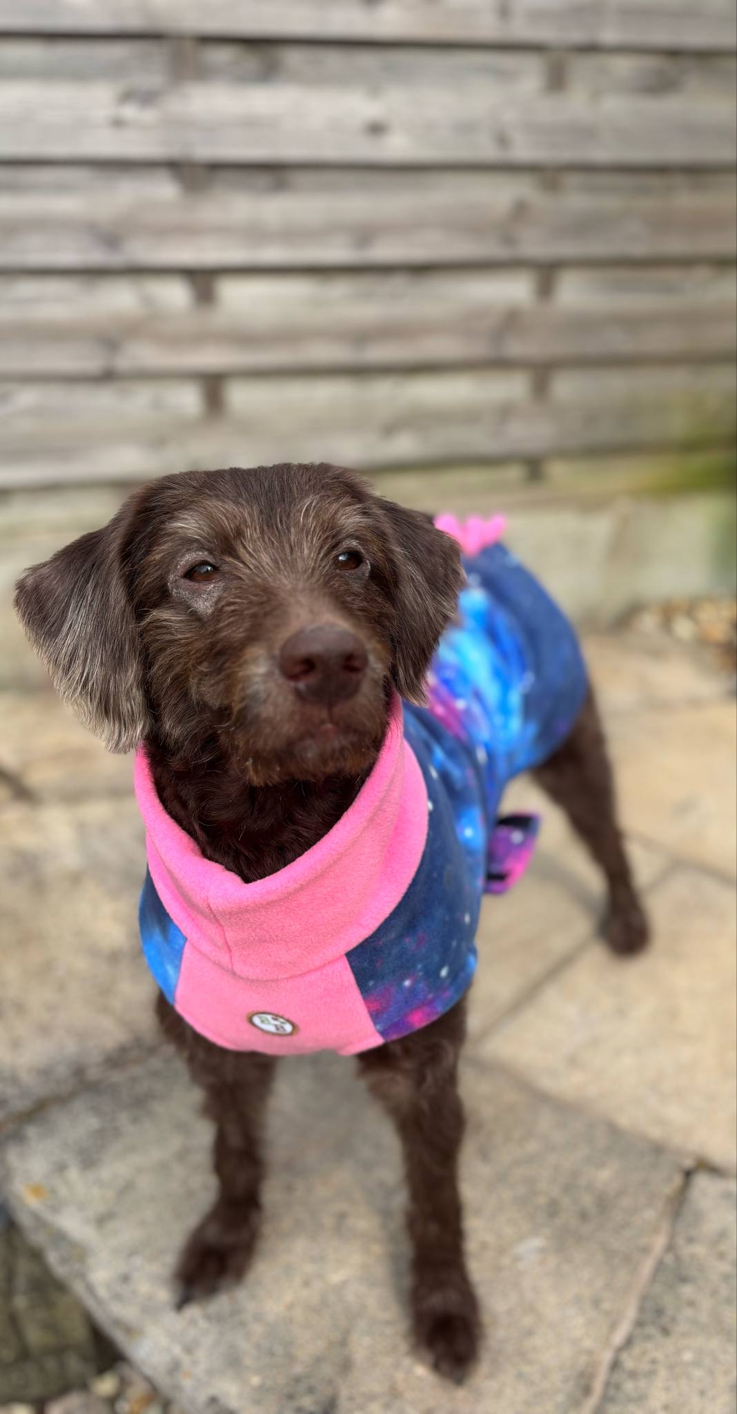 The Luna Drying Coat