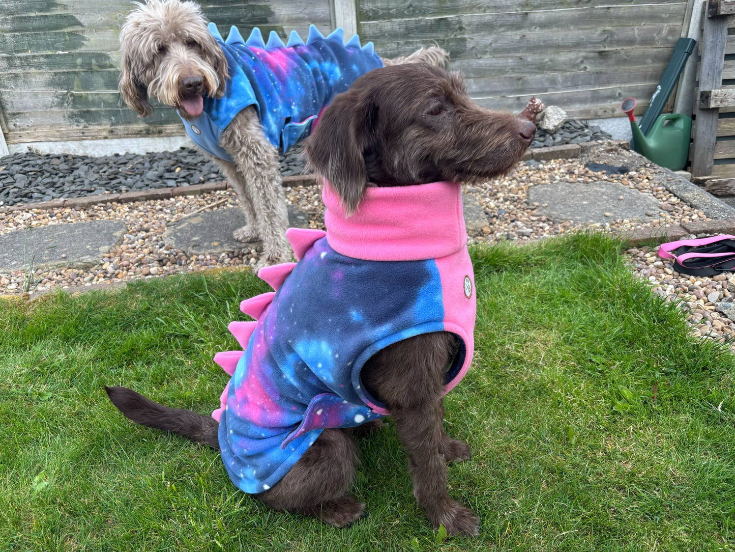 The Luna Drying Coat