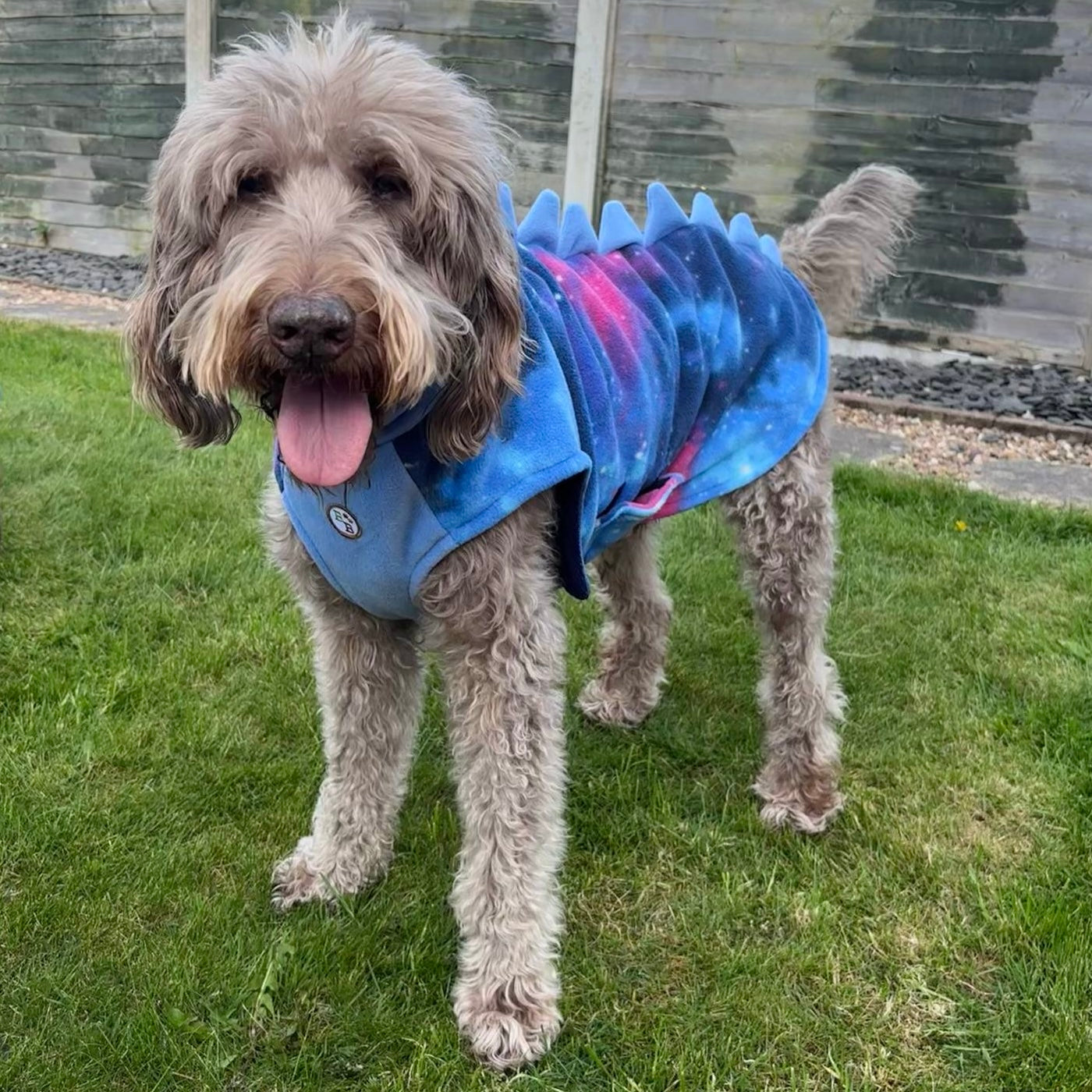 The Luna Drying Coat