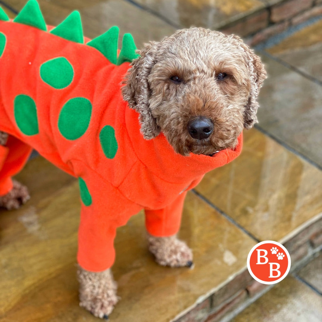 Barker and Browns Bespoke made to measure original Dinosaur dog jumper