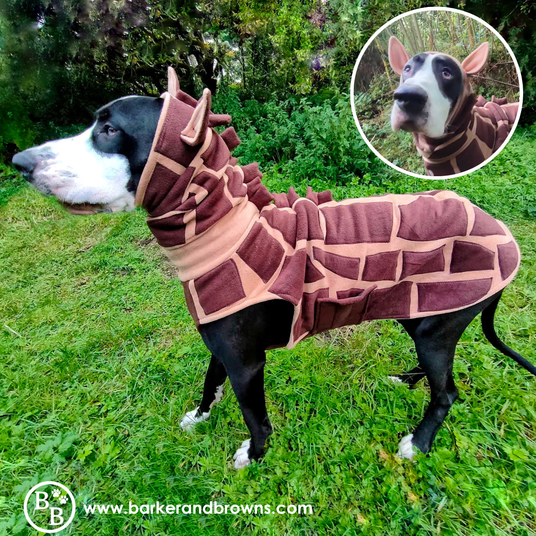 The Bespoke Coat