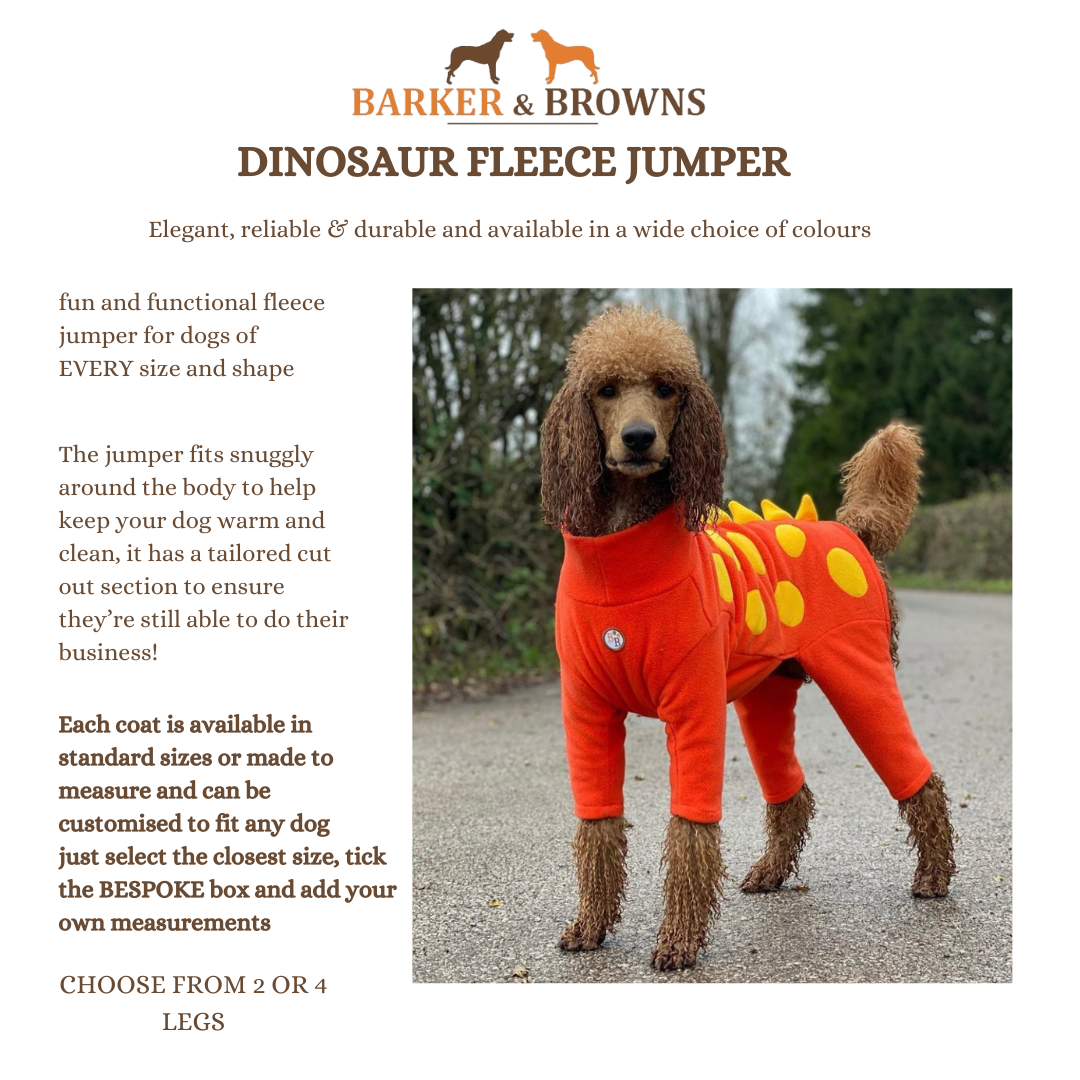 Dinosaur Fleece Jumper