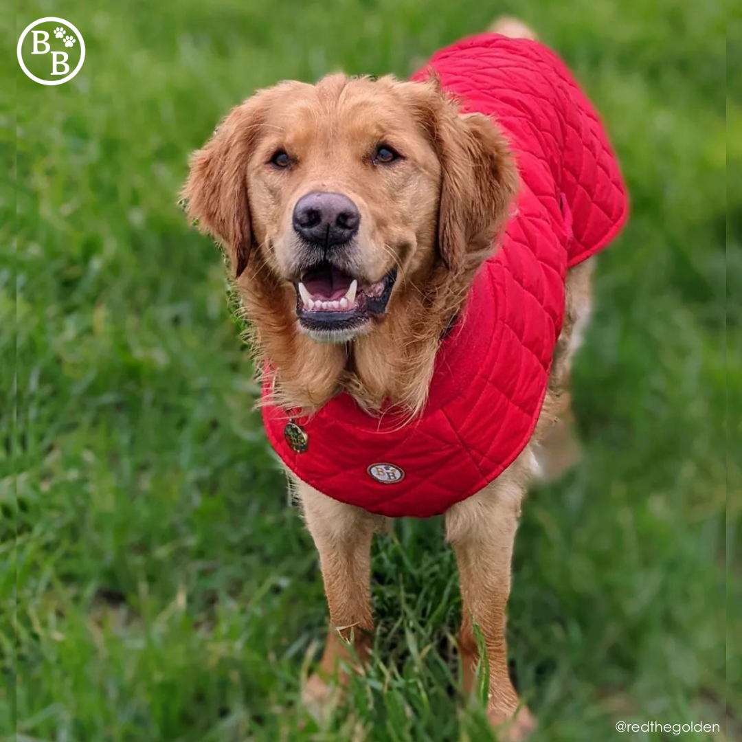 Quilted Fleece Lined Coat