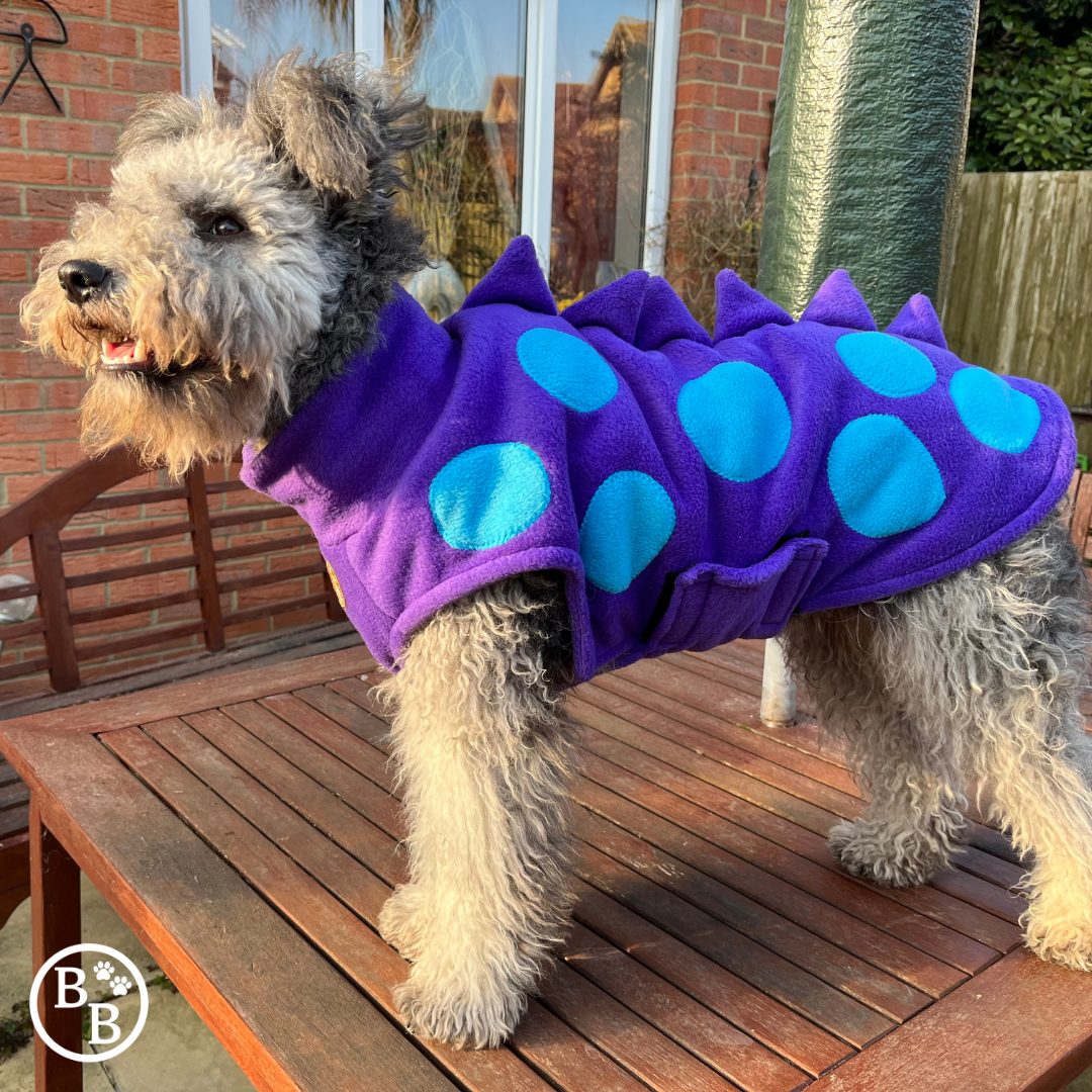 Barker and Browns Bespoke made to measure original Dinosaur dog coat