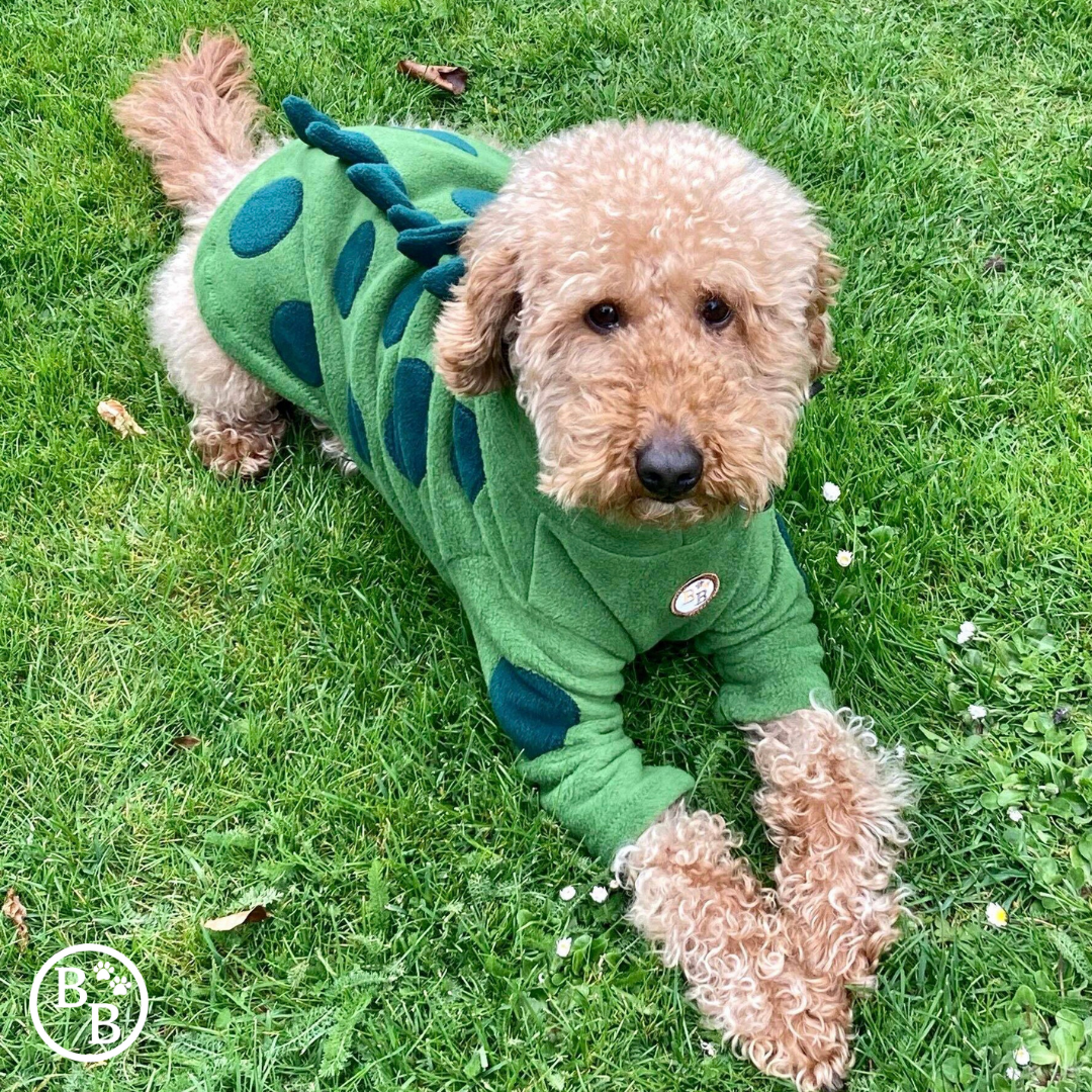 Barker and Browns Bespoke made to measure original Dinosaur dog jumper