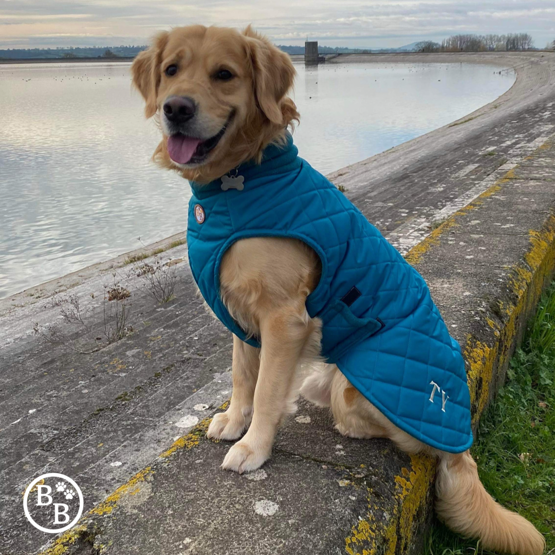 Quilted Fleece Lined Coat