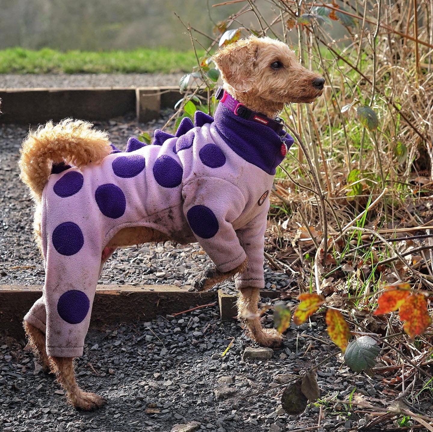 Dinosaur Fleece Jumper