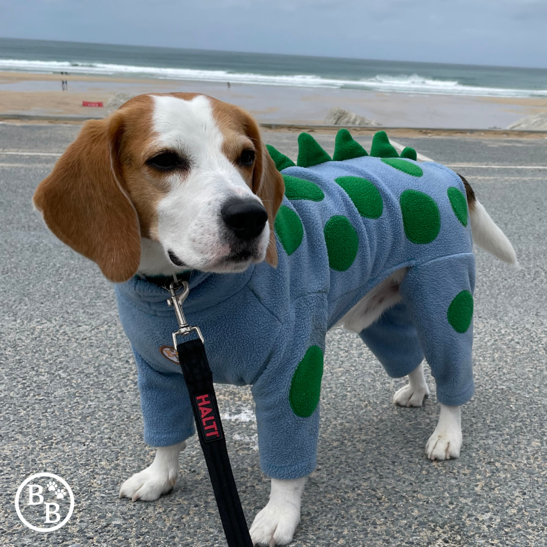 Barker and Browns Bespoke made to measure original Dinosaur dog jumper