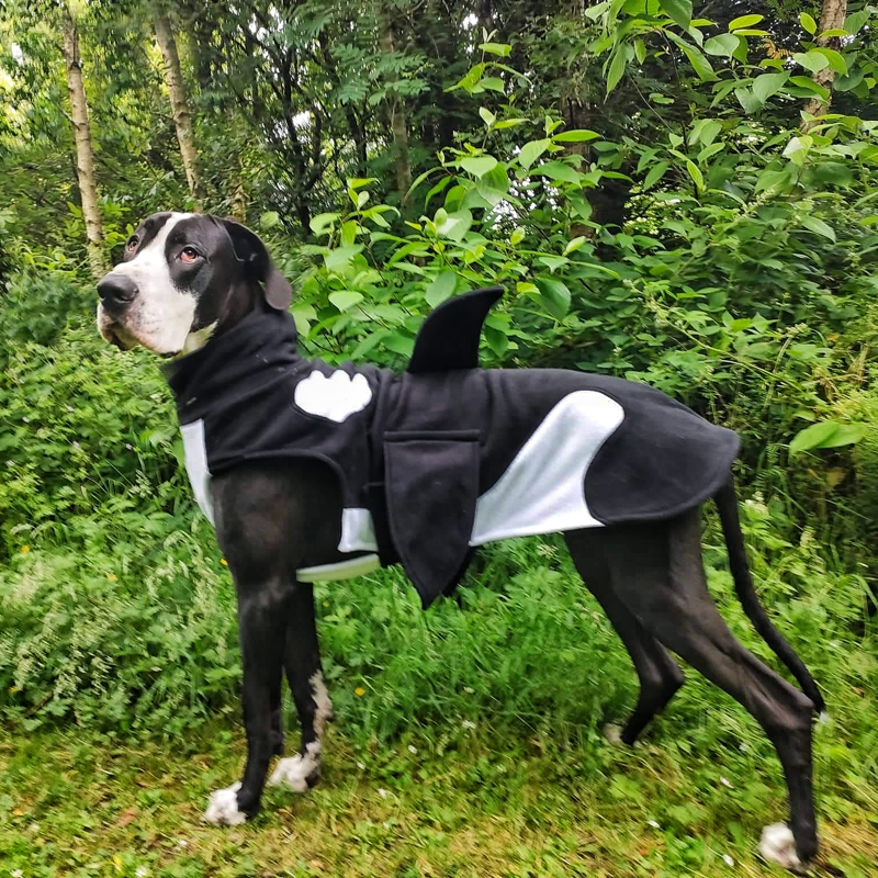 The Bespoke Coat