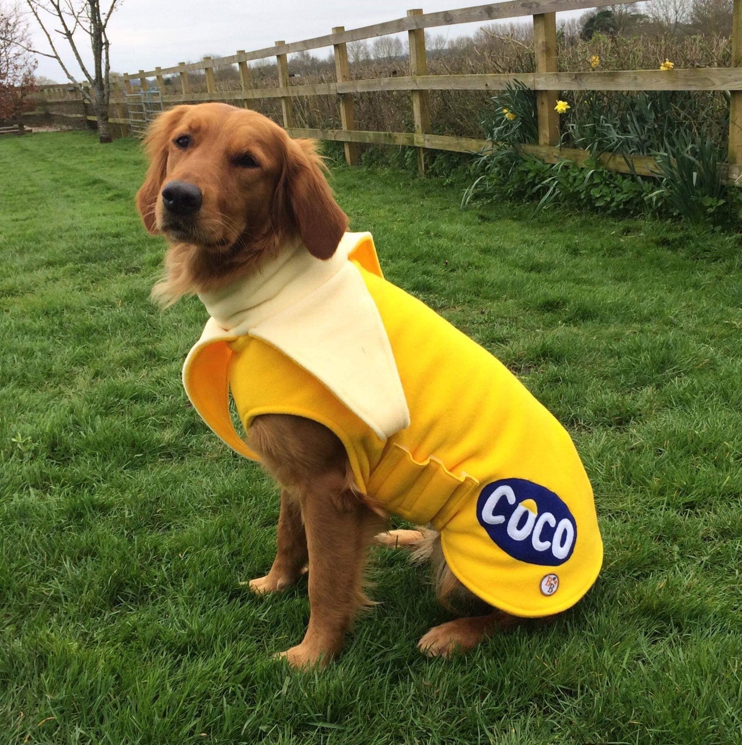 The Bespoke Coat