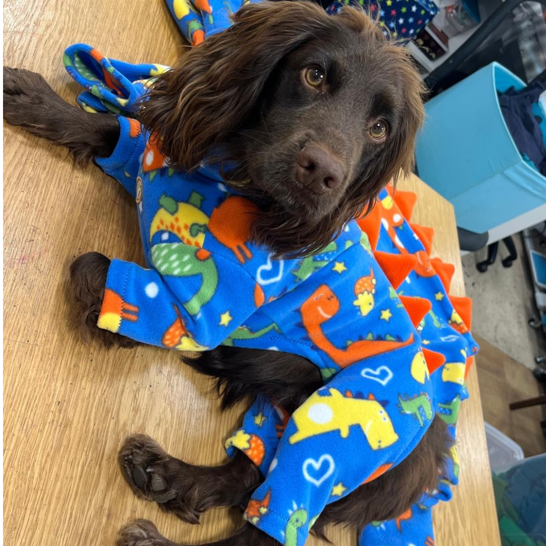 Dino fleece pyjamas with Contrast Spikes