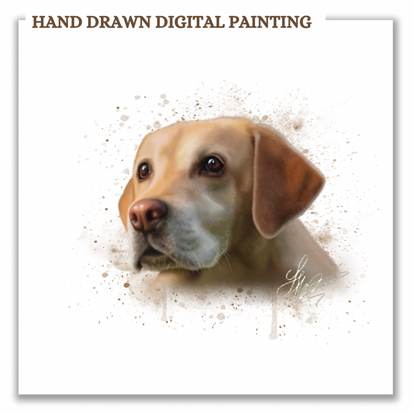 Hand Drawn Digital Pet Portrait