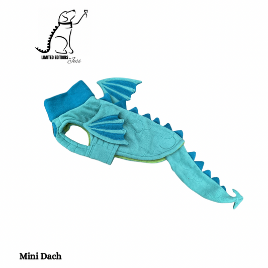 Mini Dachshund Limited Edition Dragon coat with wings, spikes and detachable  tail (ONLY 1 AVAILABLE)