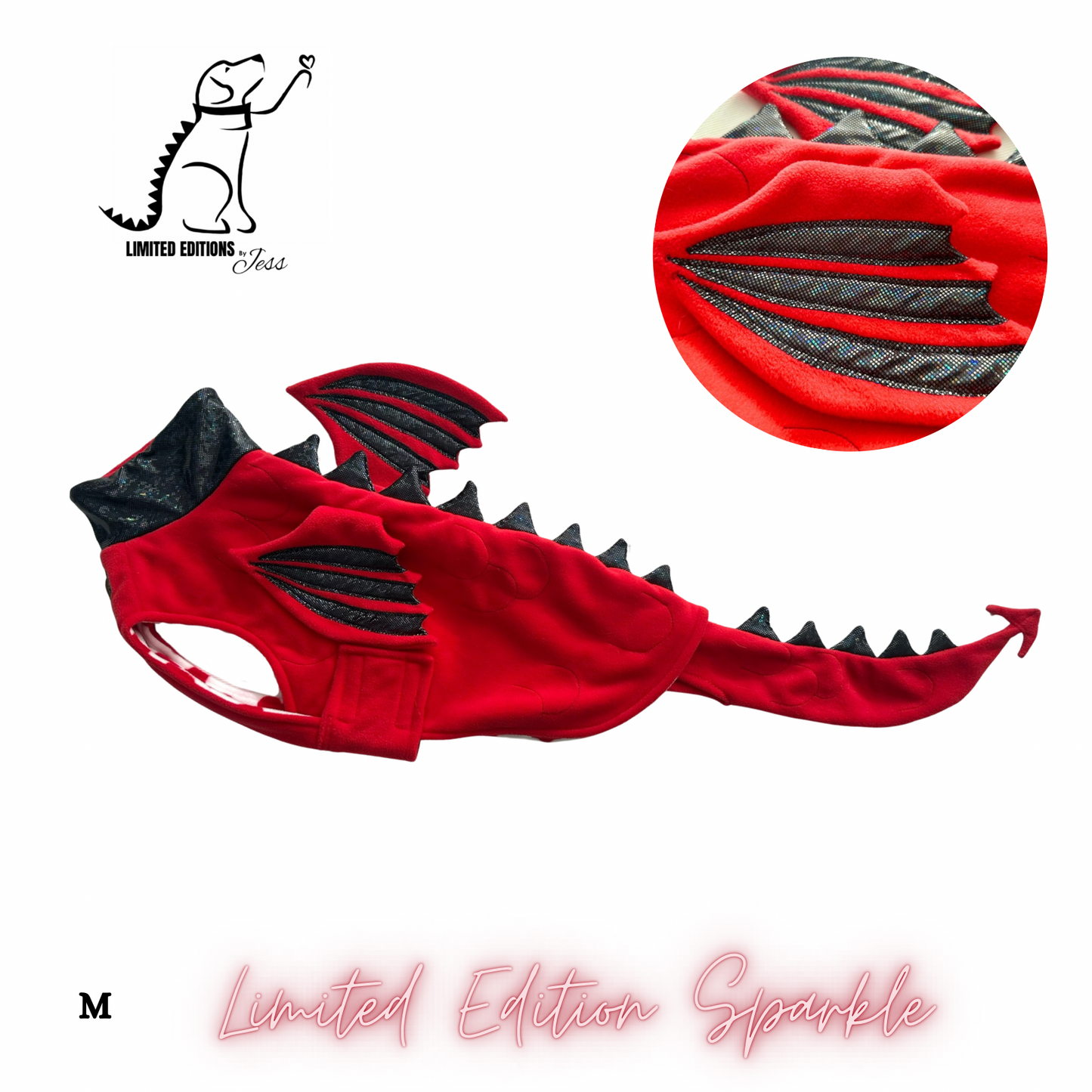NEW M Limited Edition Sparkly Dragon Coat with Wings & detachable tail  (ONLY 1 AVAILABLE)