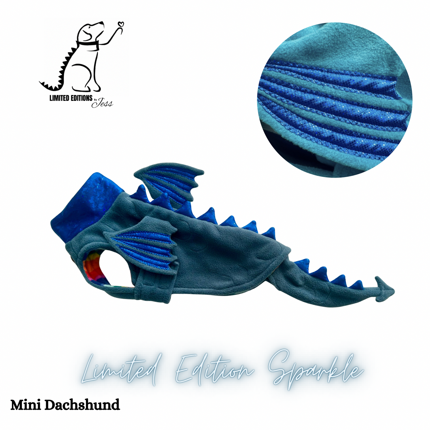 NEW Mini Dachshund Limited Edition Sparkly Dragon Coat with Wings & detachable tail  (ONLY 1 AVAILABLE)
