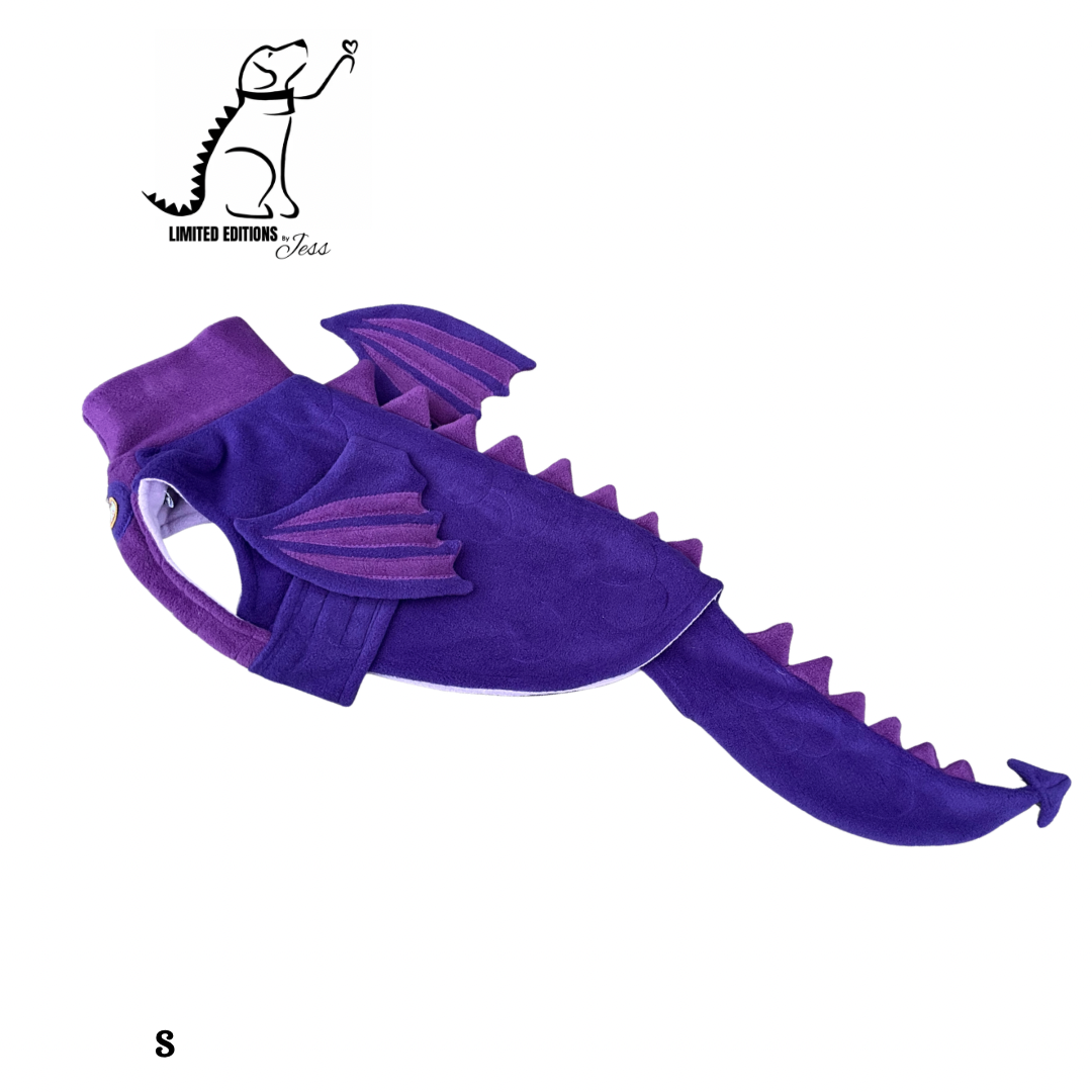 Small Limited Edition Dragon Coat with Wings and detachable tail  (ONLY 1 AVAILABLE)