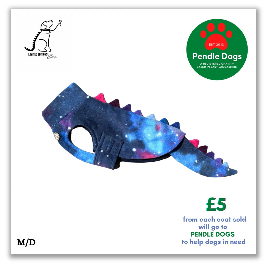 Mini Dachshund Limited Edition ‘Luna’ Dino coat with spikes and detachable  tail (ONLY 1 AVAILABLE)