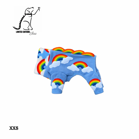 Xxs Limited Edition Rainbow jumper (ONLY 1 AVAILABLE)