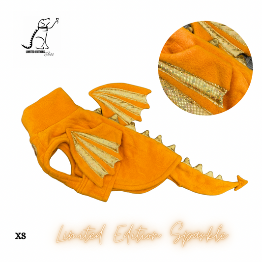 XS Limited Edition Sparkly Dragon Coat with Wings & detachable tail  (ONLY 1 AVAILABLE)