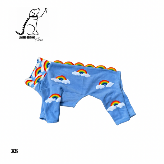 XS Limited Edition Rainbow jumper (ONLY 1 AVAILABLE)