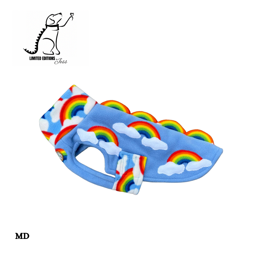Mini Dachshund Limited Edition Rainbow Coat (ONLY 1 AVAILABLE)