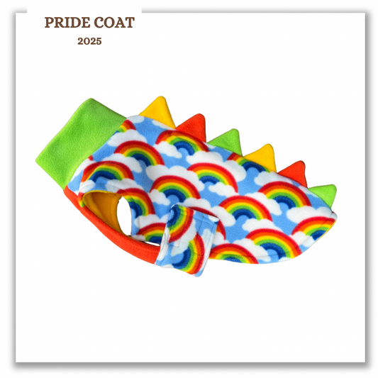 Pride Rainbow coat