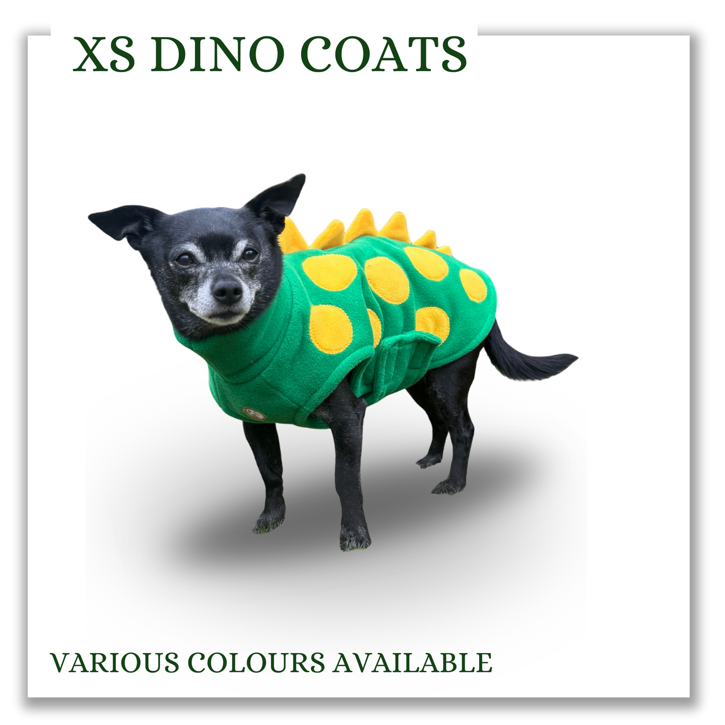 XS Dino coats (various colours)