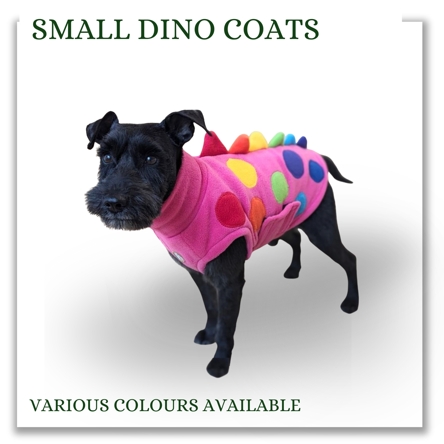 Small Dino coats (various colours)