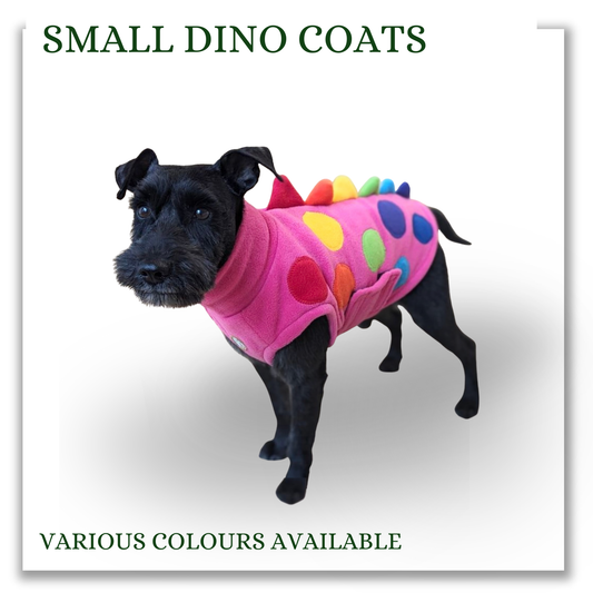 Small Dino coats (various colours)