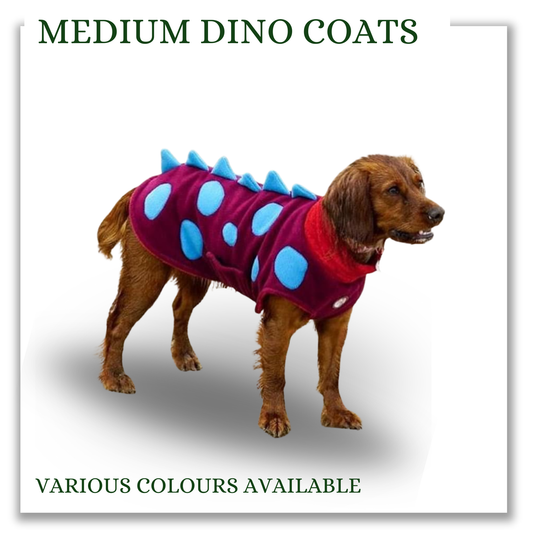 Medium Dino coats (various colours)