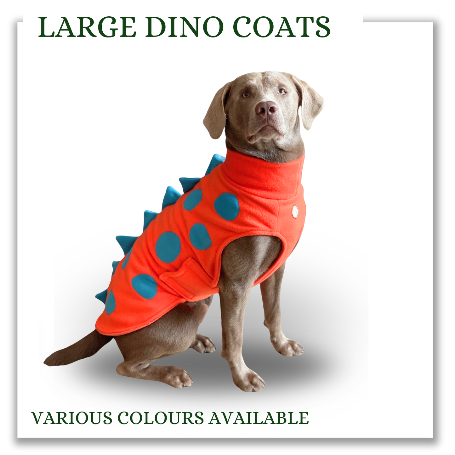 Large Dino coats (various colours)