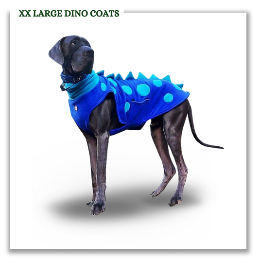 XXL Dino coats (various colours)