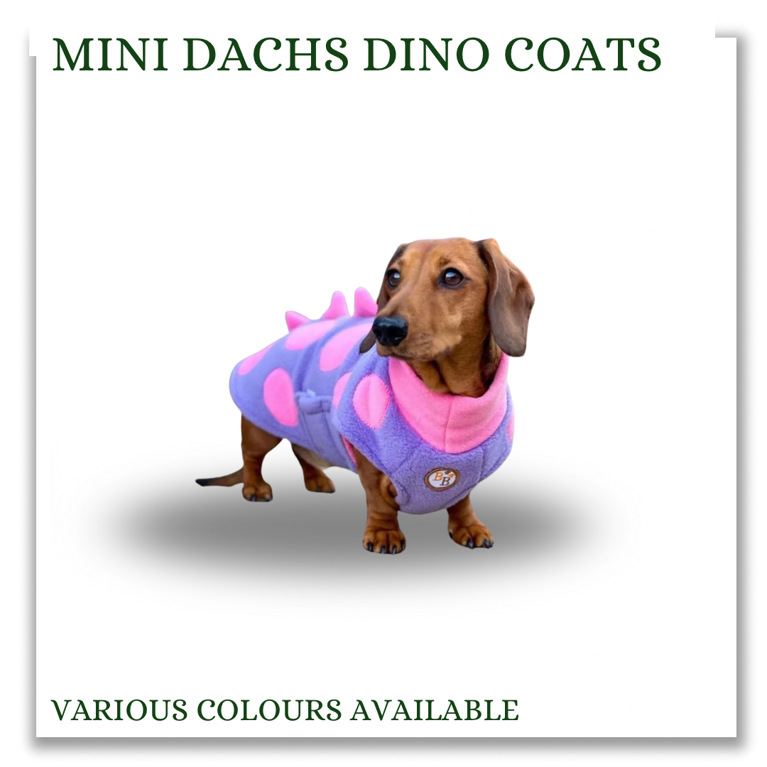 Mini Dachshund Dino coats (various colours)