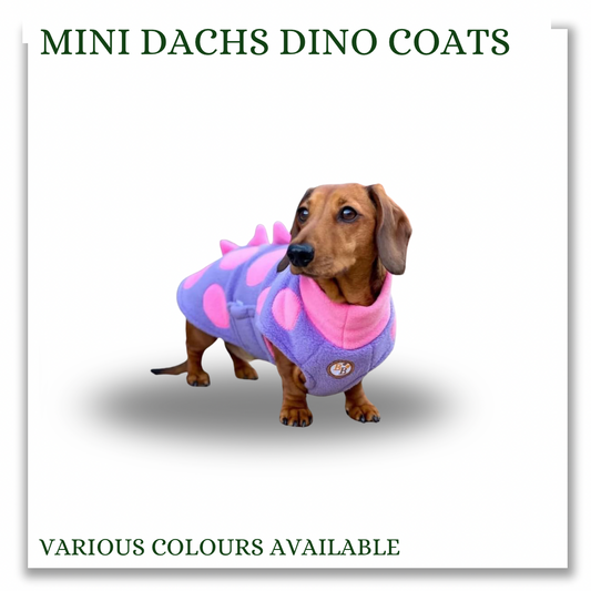 Mini Dachshund Dino coats (various colours)