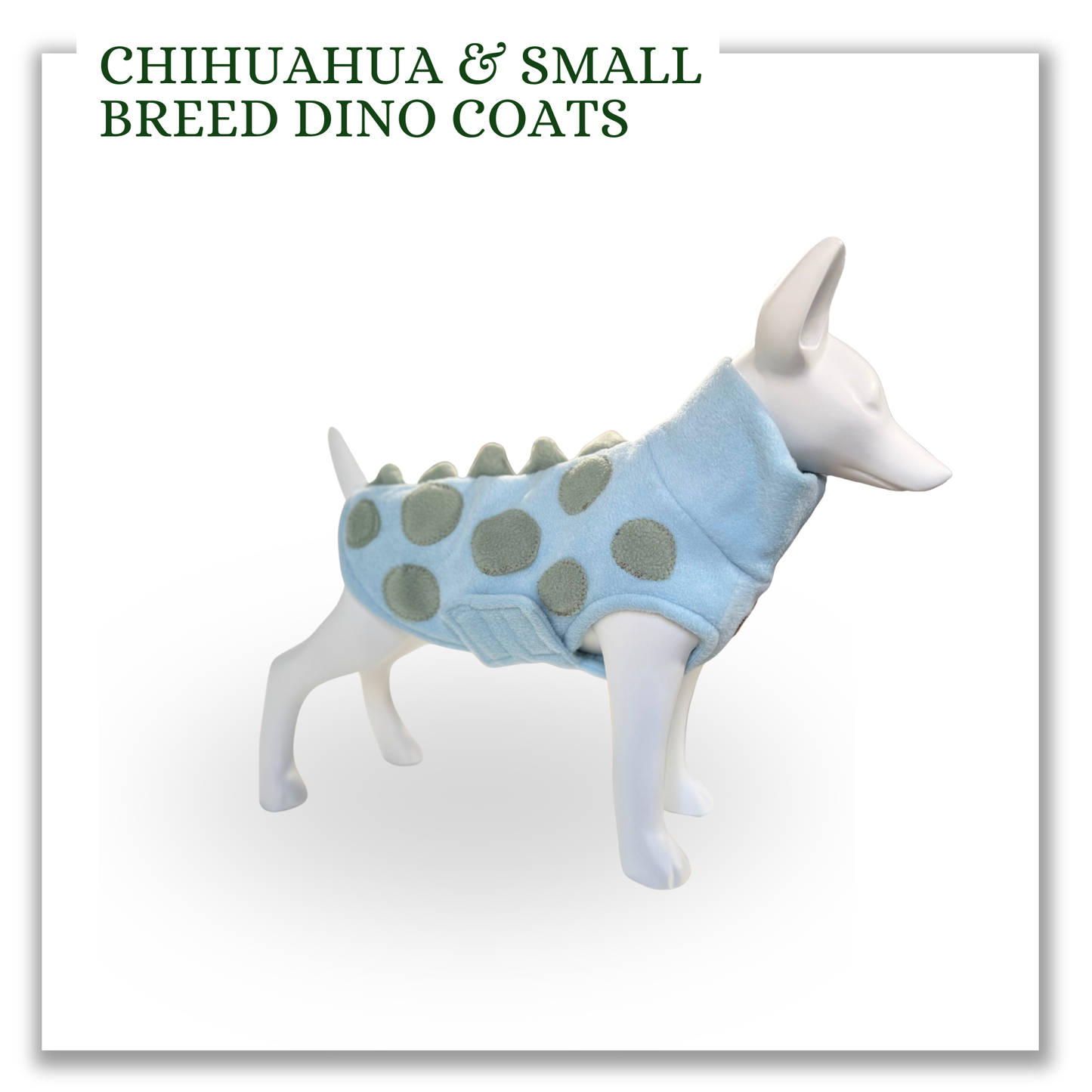 Chihuahua and small breed Dino Coat