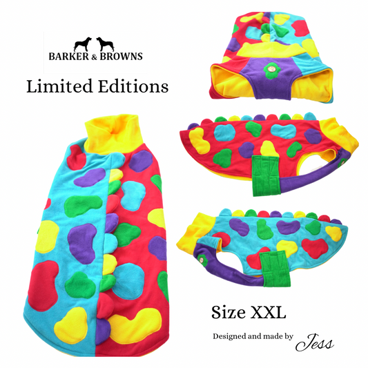 XXL Limited Edition Multi Colour Coat  (ONLY 1 AVAILABLE)