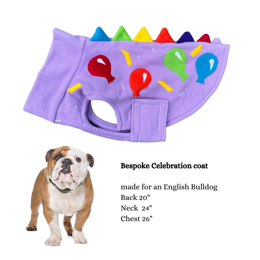 Bespoke Celebration coat made for English Bulldog