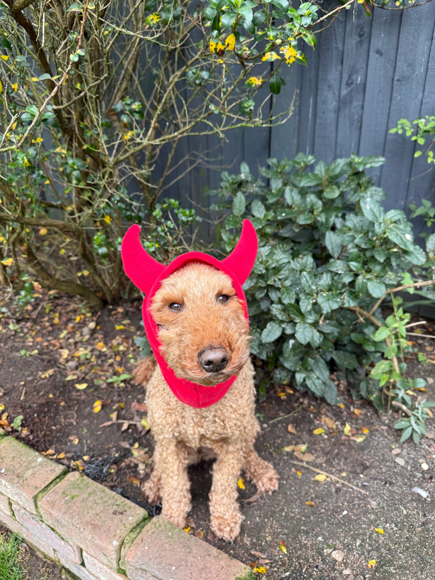 Halloween Devil Snoods/ witches hat snoods