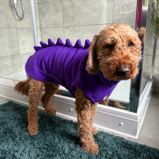 20% OFF Dino Drying Coats  (various colours and sizes)